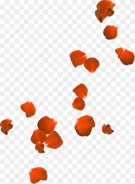 flower petals clipart at getdrawings - poppies we will remember them