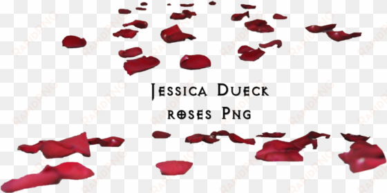 flower petals falling png - rose petals on floor png