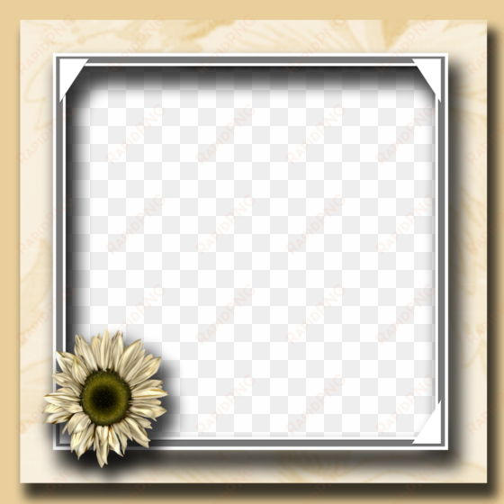 flower photo frame png - flower photo frame