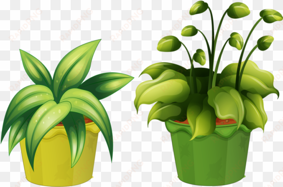 flower pot 15 - vaso planta desenho png