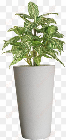 flower pots png png stock - plant in pot png