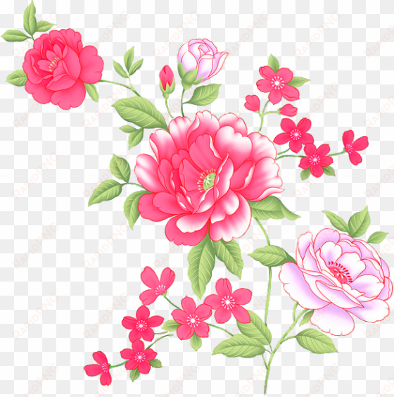 Flower Prints - Garden Roses transparent png image