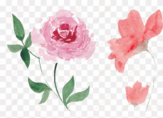 flower watercolor png free - watercolor flower png pink