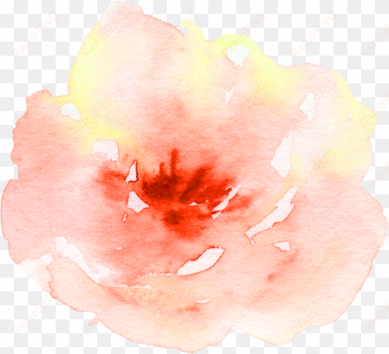 flower watercolor watercolour peach aesthetic pretty - watercolor painting