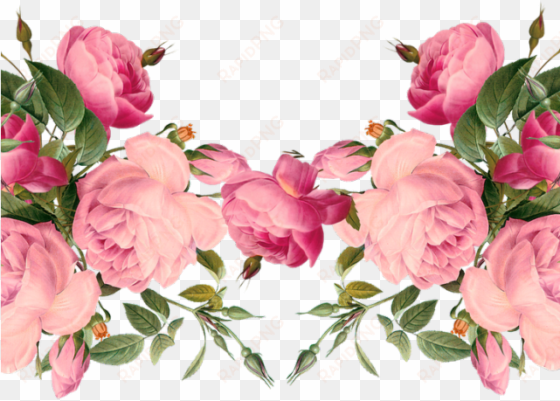 flowers borders clipart april - transparent pink floral border