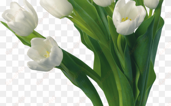 flowers bouquet tulips png u0zmo7xltpng png uri - beautiful flower good morning