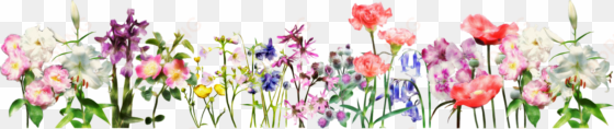 flowers for a banner group image free download - guide to mr. shakespeare's flowres