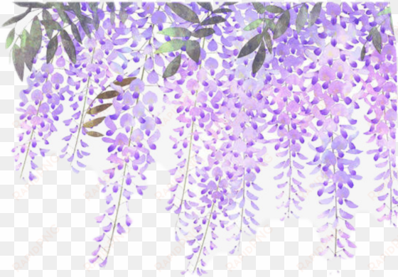 flowers vines purple sticker - lavender flower border png