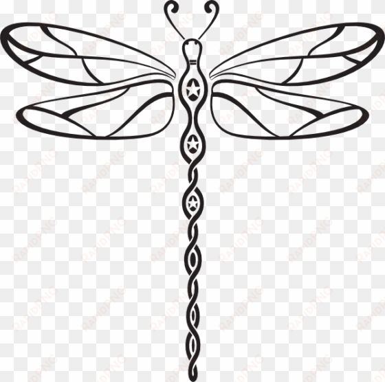 fly drawing dragonfly - dreams and nightmares of a menopausal woman