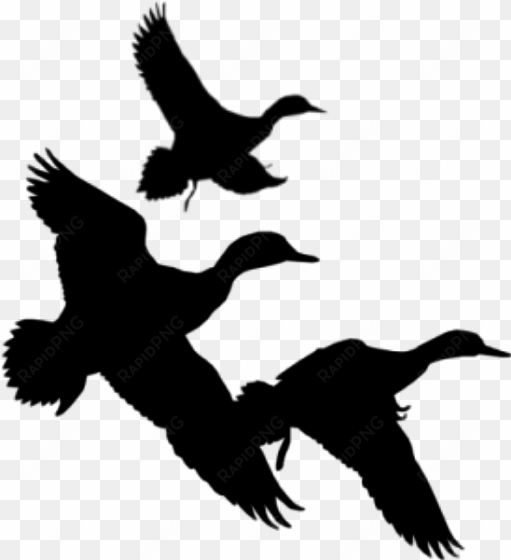 flying black ducks - duck hunting clipart black and white