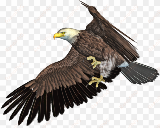 flying eagle png - eagle 3d png