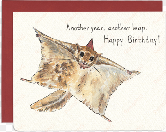 flying squirrel leap - greeting card