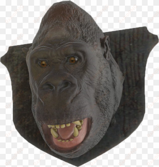 fo4 mounted gorilla head - gorilla