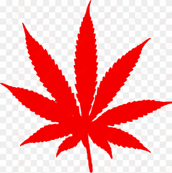 foglia rossa di marijuana - grey marijuana leaf