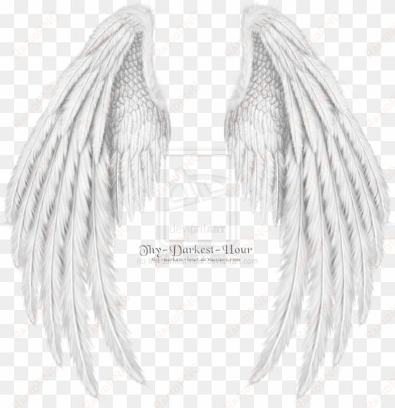 Folded Angel Wings Dragon Wings Folded White Angel - Folded Wings transparent png image