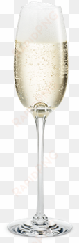 fontaine champagne glass - holmegaard - fontaine champagne glass