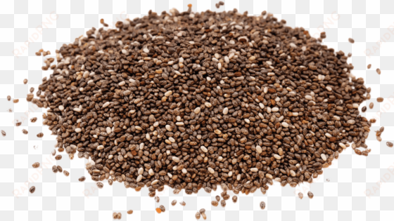 food - chia seeds