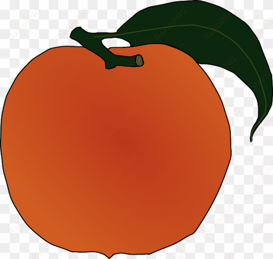 food, fruit, outline, leaf, cartoon, orange, peach - peach clip art