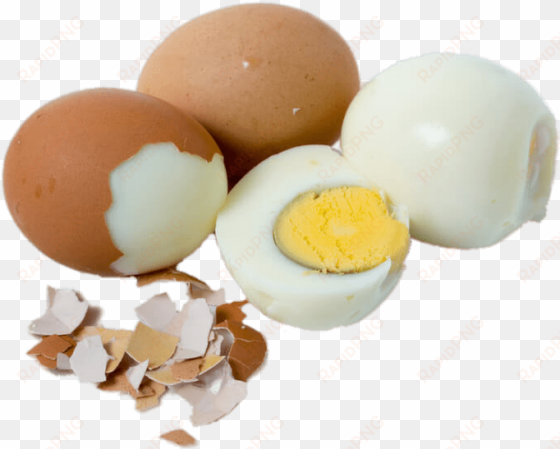 food - hard boiled egg transparent