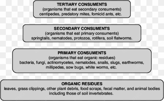 food pyramid in the compost - food