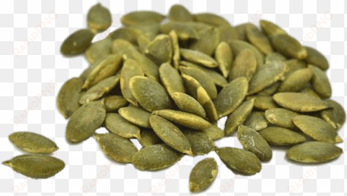 food - seeds - pumpkin seeds on transparent background