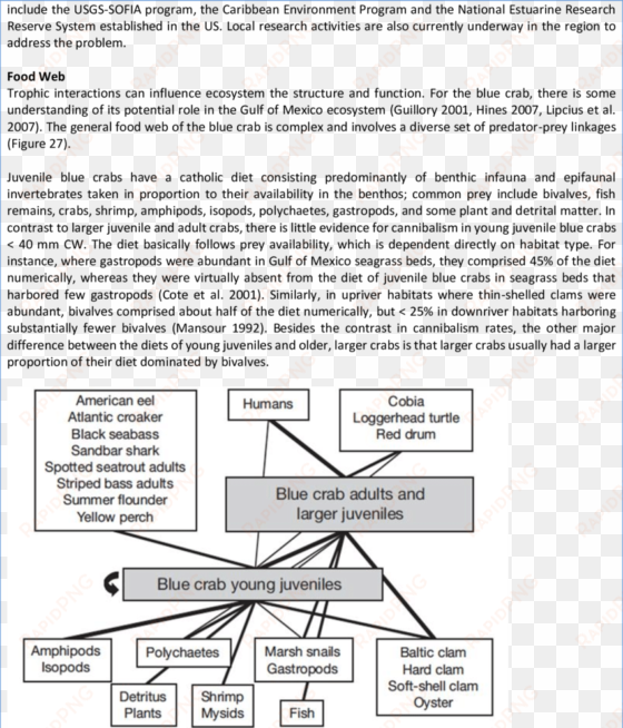 food web of the blue crab, illustrating only those - crab