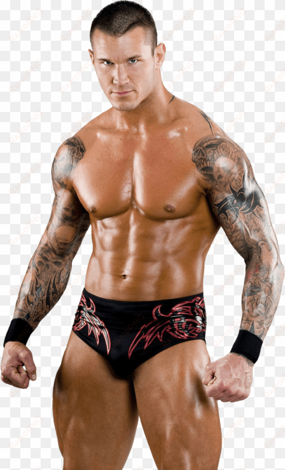 for developers randy orton clipart - randy orton muscle