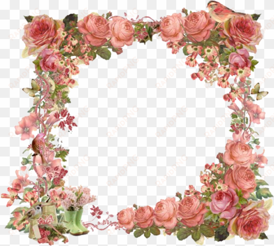 for developers vintage flowers borders clipart - frame vintage floral border