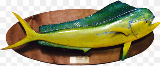 for information or to order, simply call 942-1417 or - wall mounted fish plaque