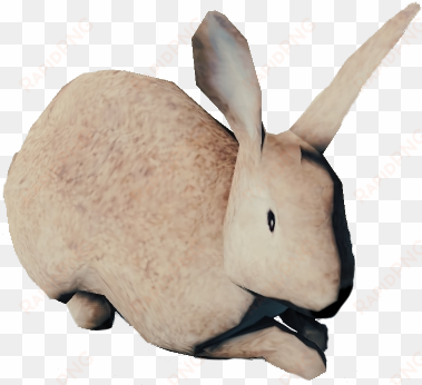 forest game rabbit