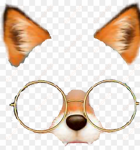 fox foxfilter glasses filter - snow filters png