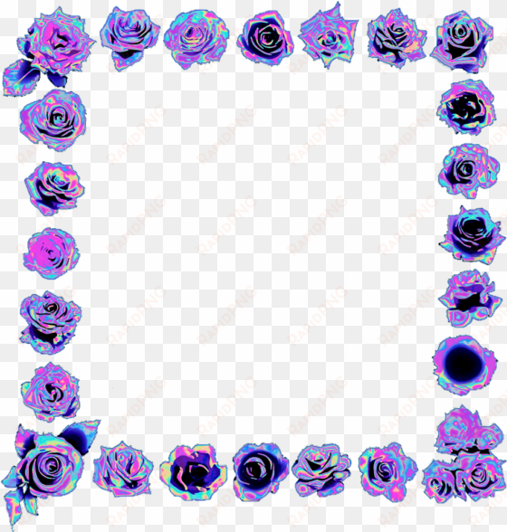 frame holo holographic purple rose roses flowers freeto - picture frame