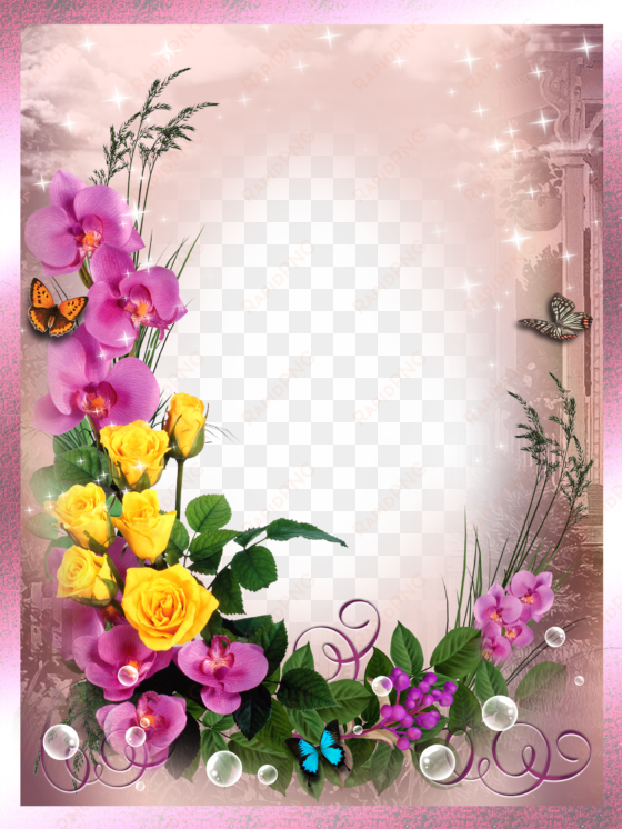 frame with bird png image, beautiful printable frame - hd photo frame png