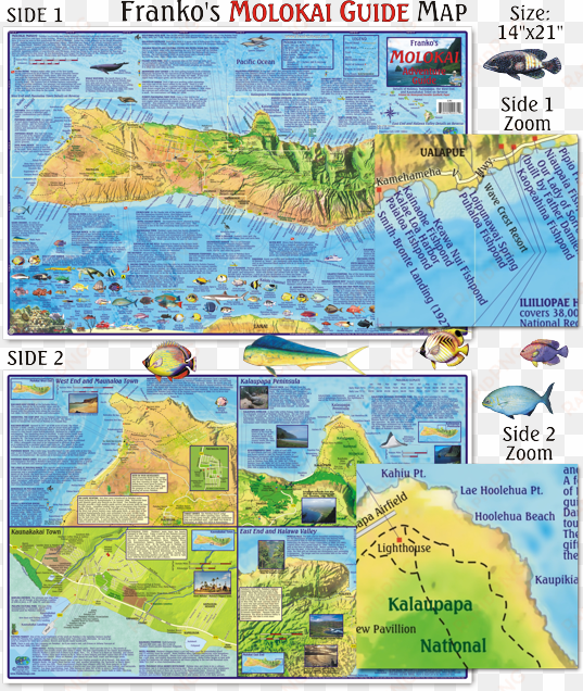 franko maps molokai guide map