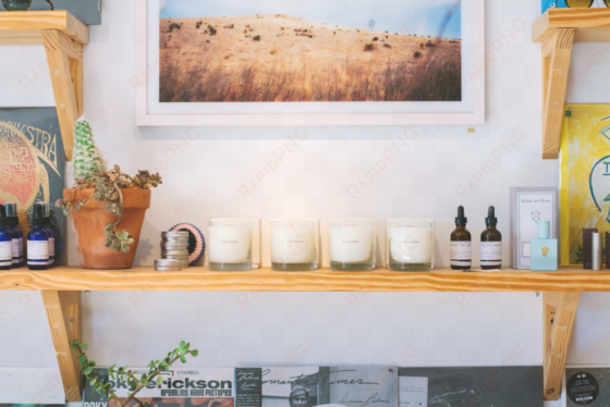 freda shelves gallery 2