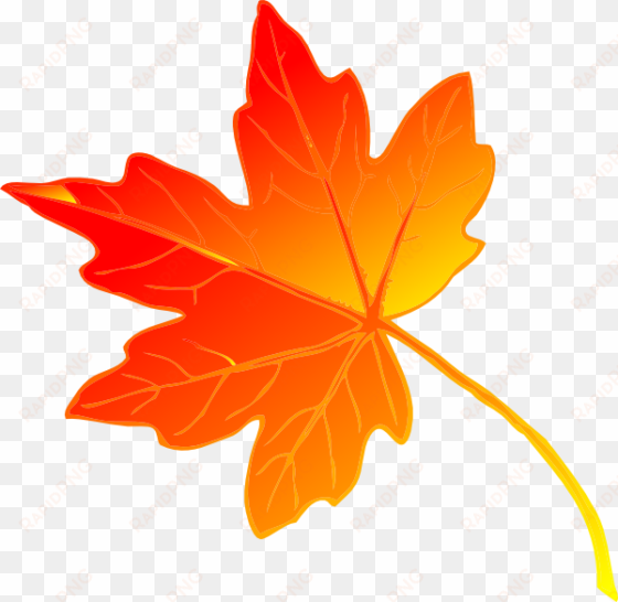 free beautiful maple leaf clip art - fall leaves public domain