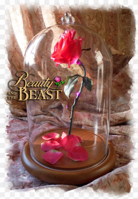 free beauty and the beast rose in glass - beauty and the beast enchanted rose light