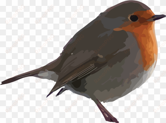 free bird clipart - robin clipart