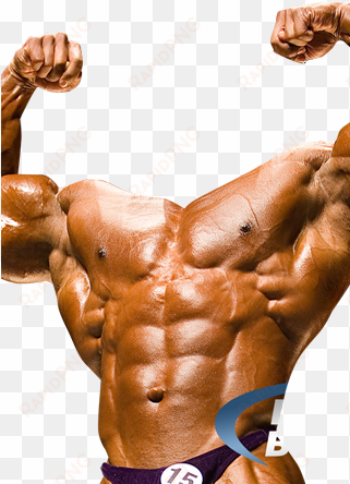 free bodybuilder photo - bodybuilder photo montage