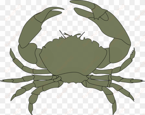 free clipart - crab clipart