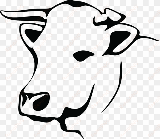 free clipart of a black and white cow - black and white cow png