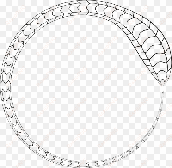 free clipart of a black and white snake forming a round - snake circle clip art