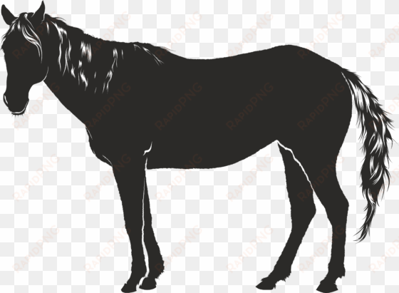 free clipart of a horse - shadow of horse drawings