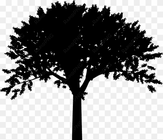 free clipart tree silhouette