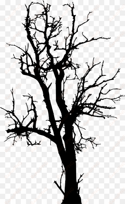 free dead tree png - tree silhouette 7 png