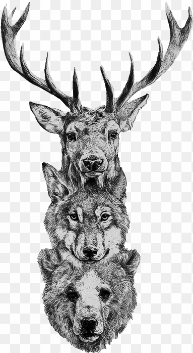 free deer skull png - deer wolf bear tattoo