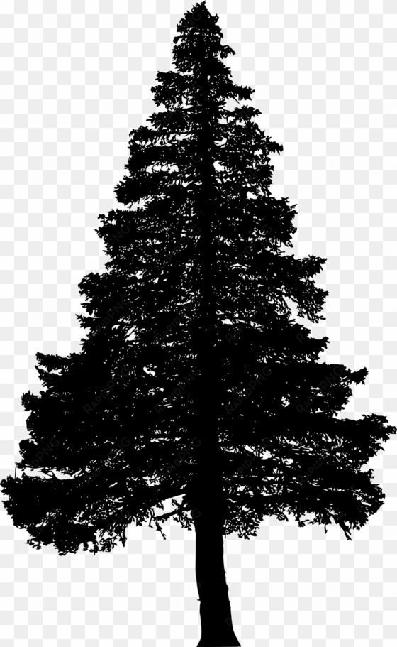 free download - pine tree silhouette png