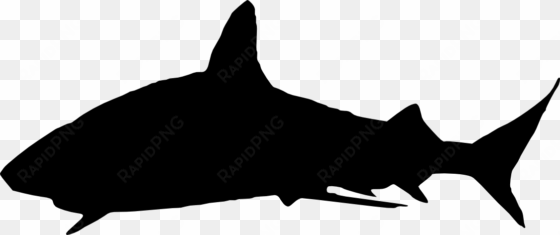 free download - shark silhouette png
