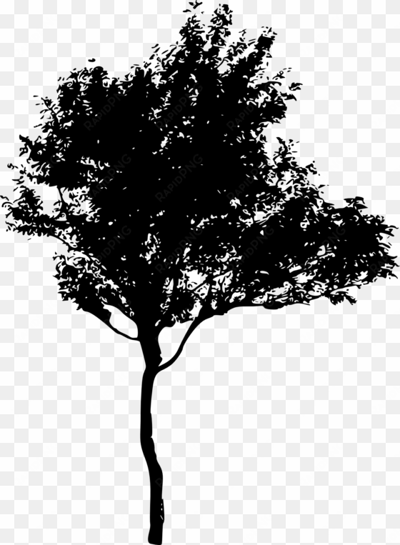 free download - silhouette of trees png