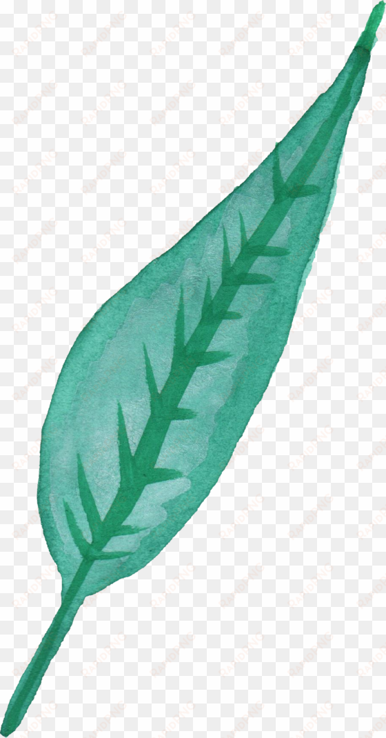 free download - watercolor of a leaf transparent